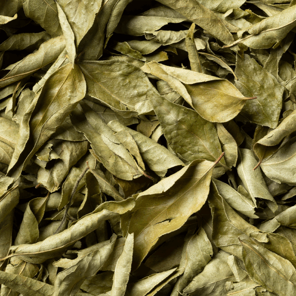 Dried Curry Leaves