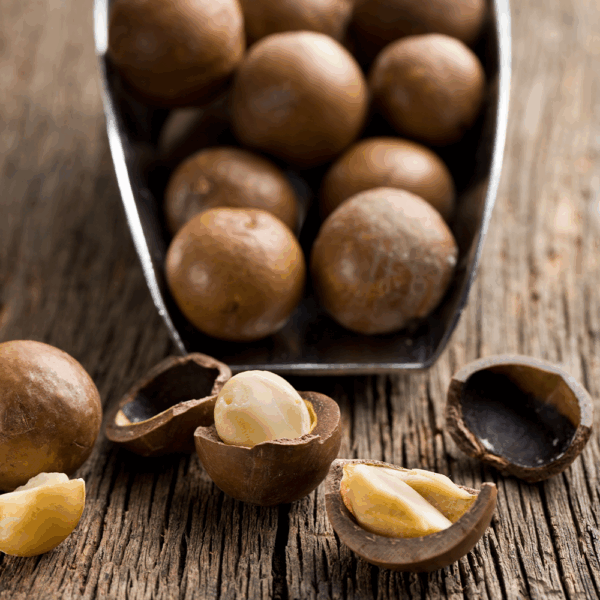 Macadamia Nuts