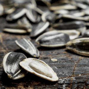 Sunflower Seeds