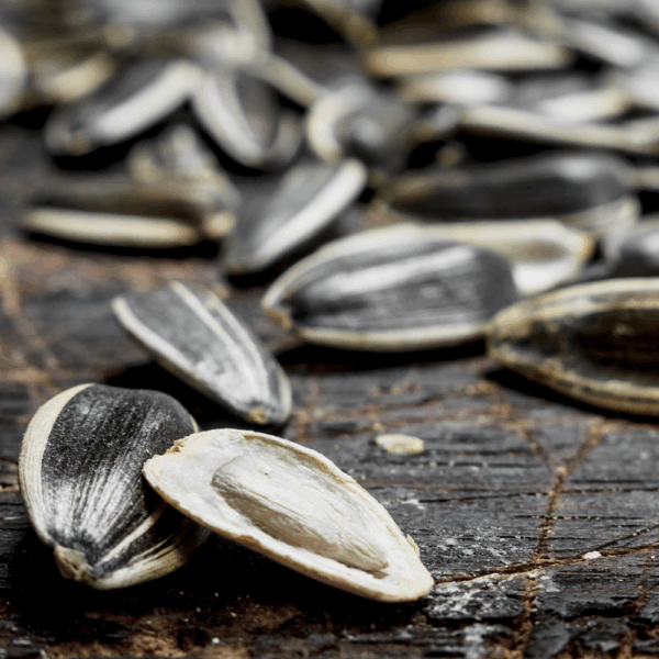 Sunflower Seeds