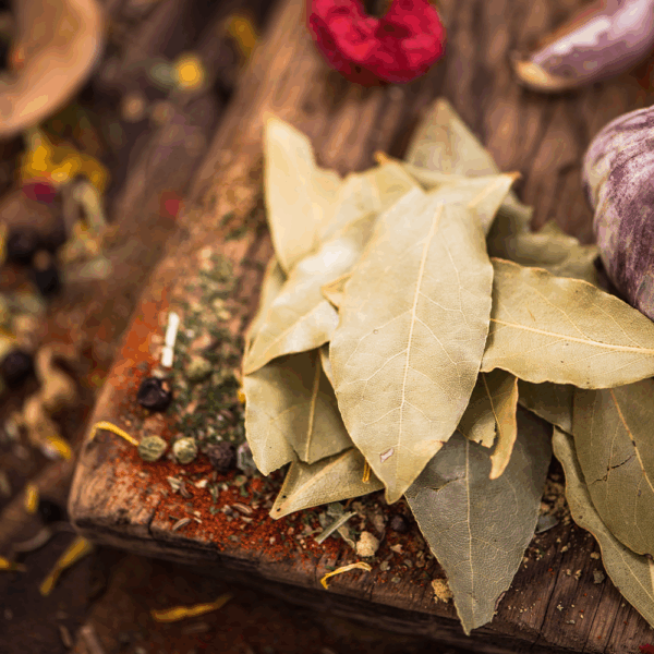 Dried Bay Leaves - Image 2