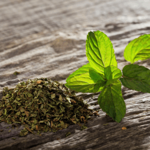 Dried Mint