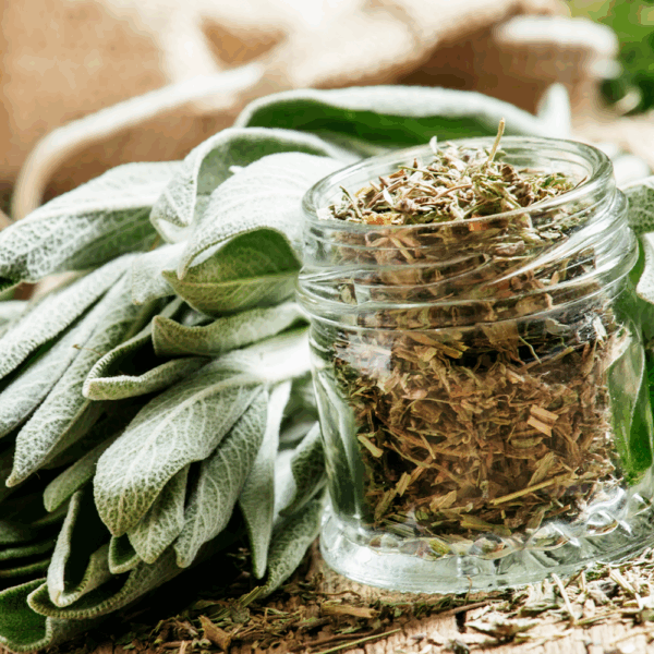 Dried Sage