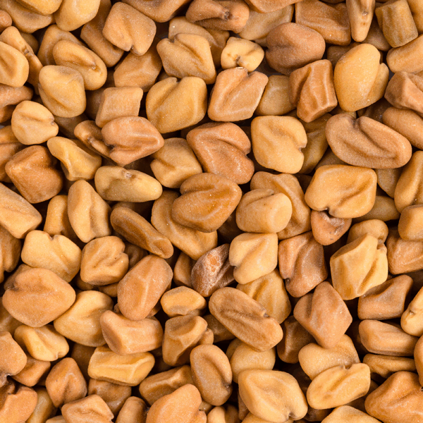 Dried Fenugreek Seeds