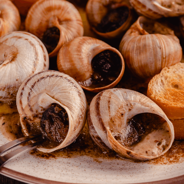 Snail Shells