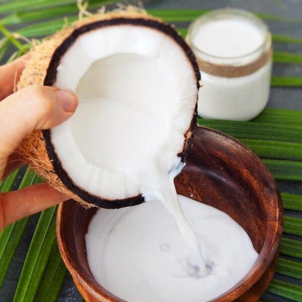Coconut Milk 12-14% Fat - Image 2