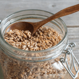 Pearled Spelt Grain