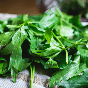 Lovage