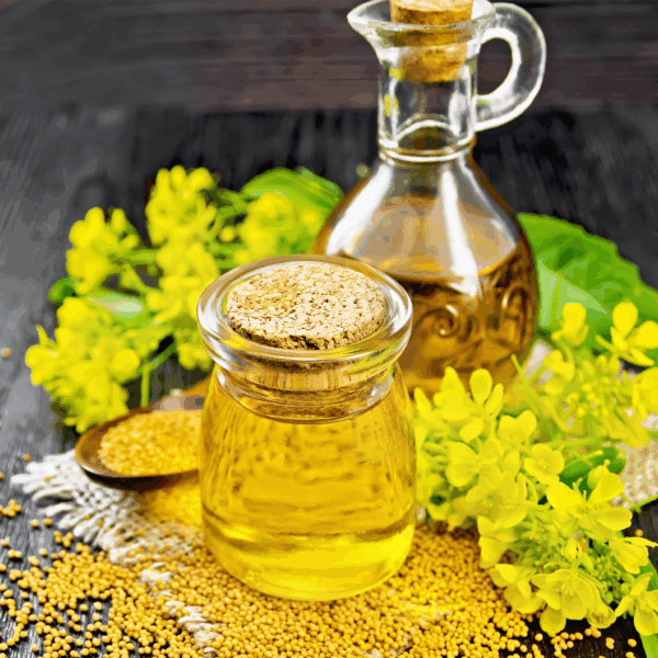 Olympic Rapeseed Oil - Image 2