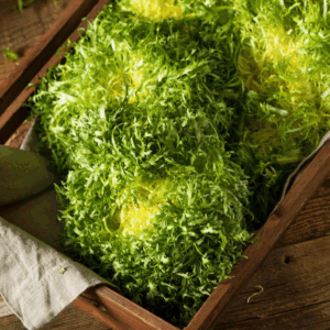 Fine Frisée (Curly)