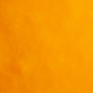 Boiron Mango Puree