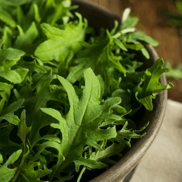 Roquette (Rocket) - Image 2
