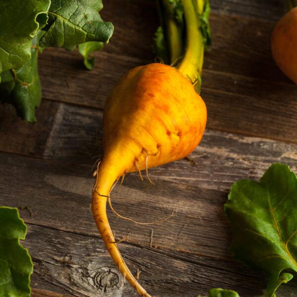 Golden Beetroots - Image 2