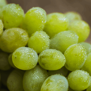 Seedless White Grapes