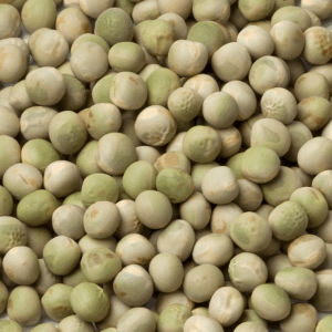 Dried Marrow Fat Peas