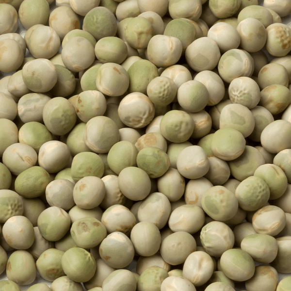 Dried Marrow Fat Peas - Image 2
