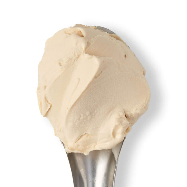 Baboo Salted Caramel Gelato 5lt - Image 2