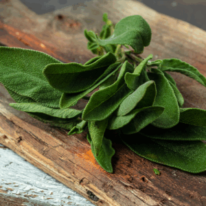 Fresh Sage