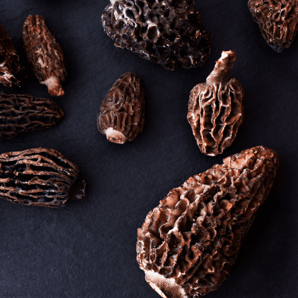 Dried Morels - Image 2