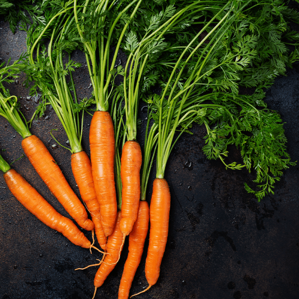Carrots Green Tops - Image 2