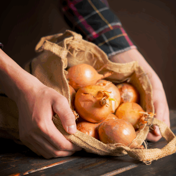 Onions  Large