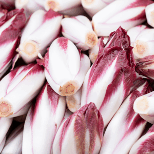 Chicory Red