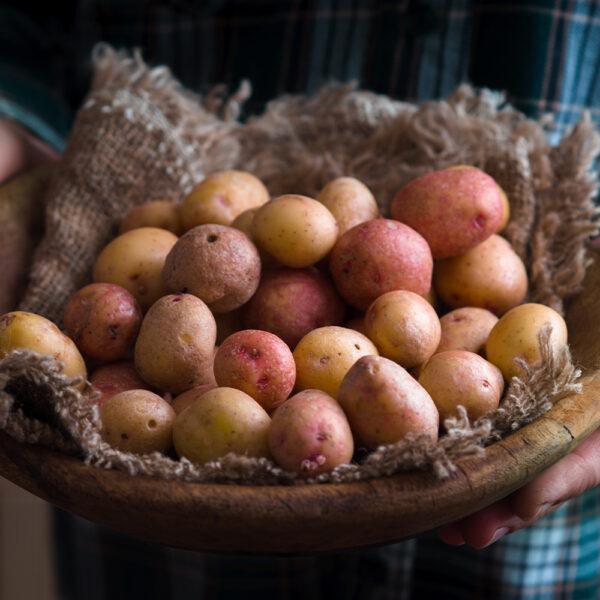 Cornish New Potatoes - Image 2