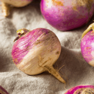 Turnip