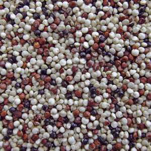 Tricolour Quinoa