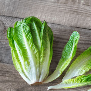 Cos Lettuce