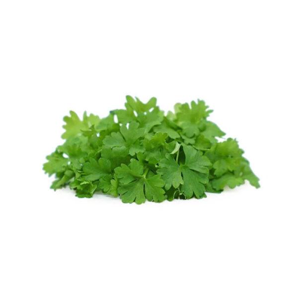 Micro Parsley - Image 2