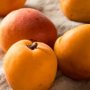 Fresh Apricots