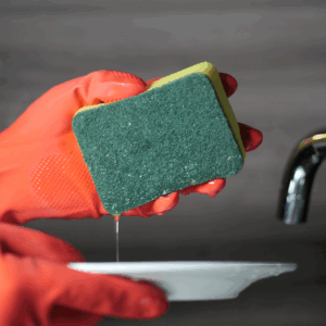 Sponge Scourers