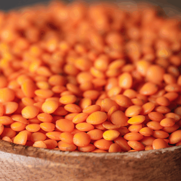 Red Lentils