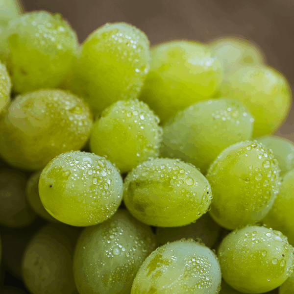 Seedless White Grapes