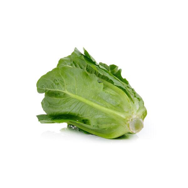 Cos Lettuce - Image 2
