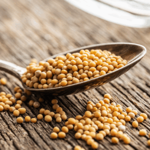 Yellow Mustard Seeds